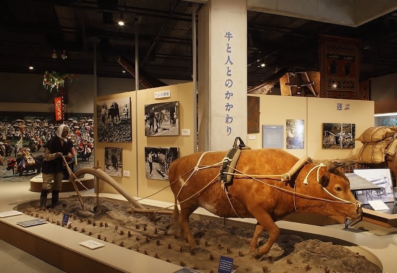 The%20Cattle%20Museum%2C%20Maesawa%2C%20Oshu%20City.jpg