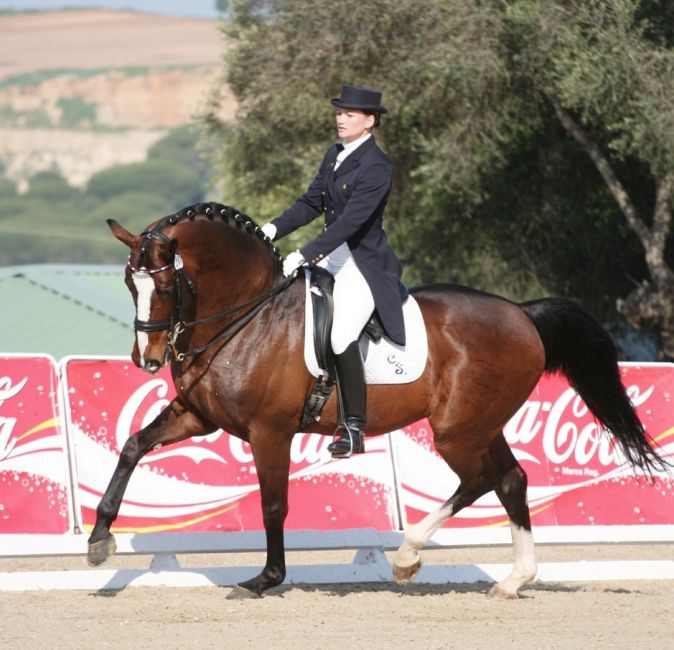 Equestrian Services