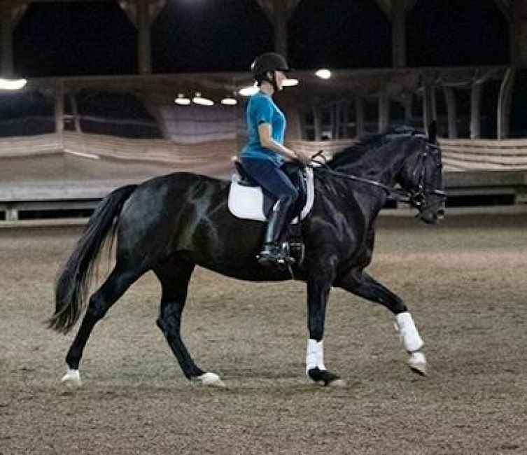 Equestrian Services