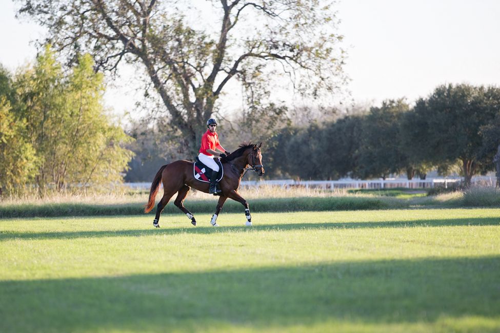 Equestrian Services
