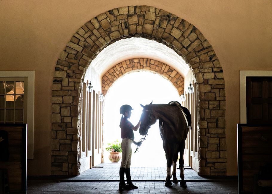 Equestrian Services