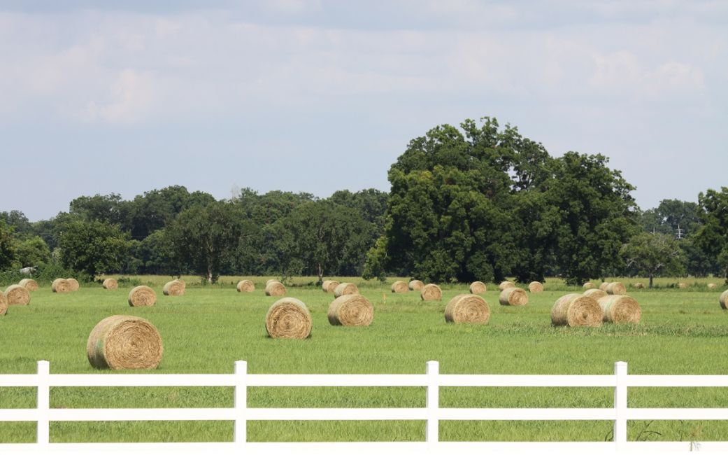 Hay Production