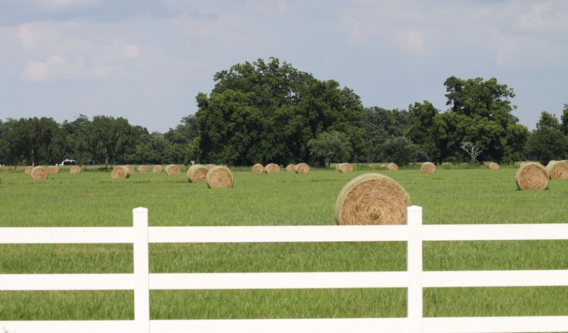 Hay Production