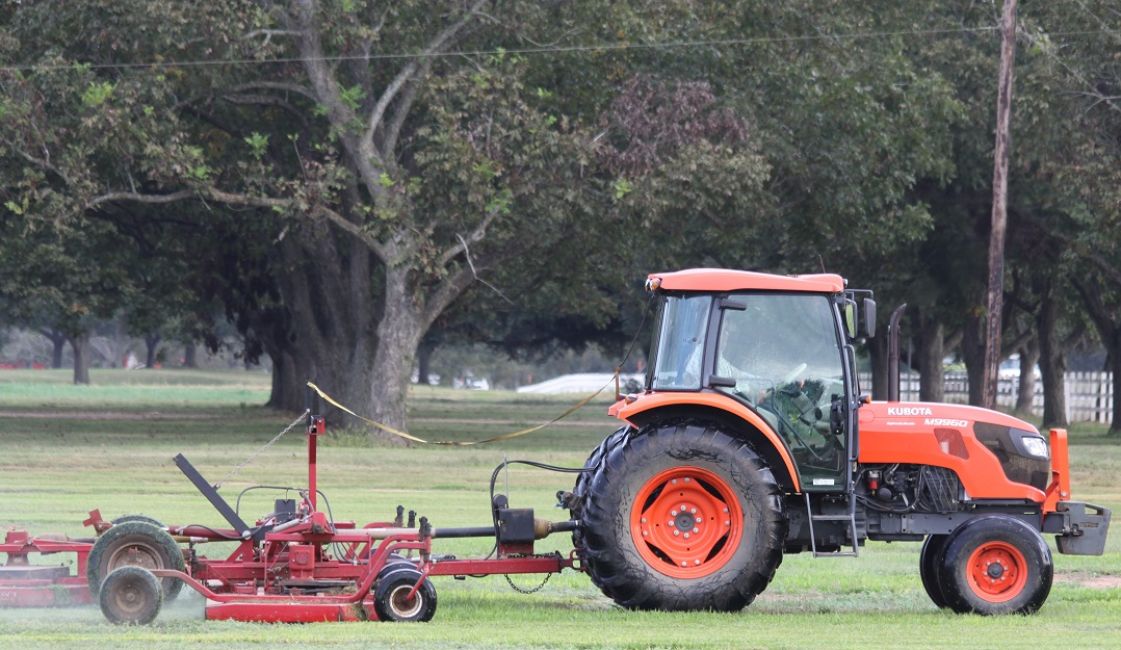Turfgrass