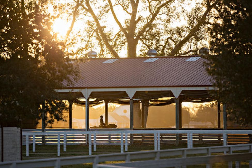 Equestrian Services