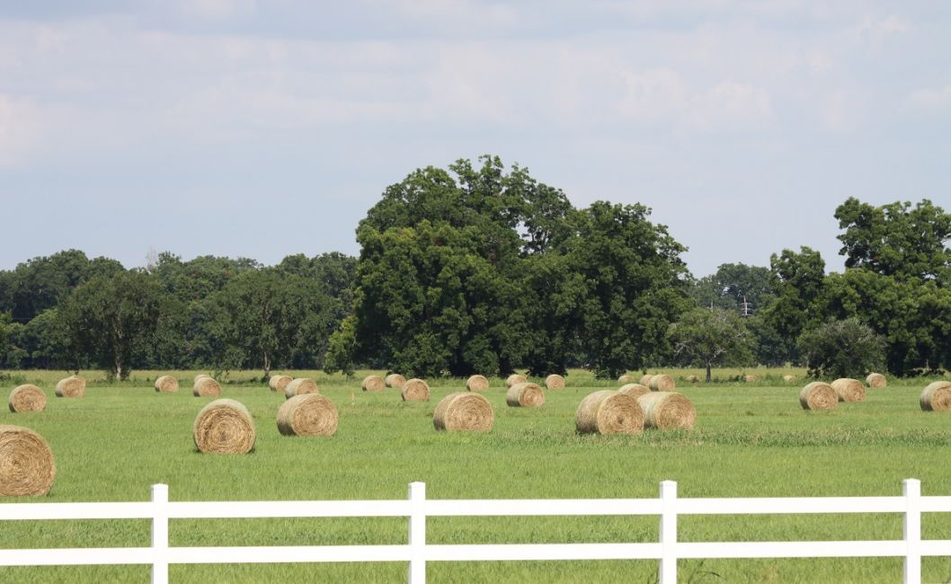 Hay Production