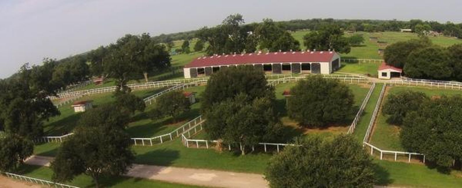 Equestrian Services