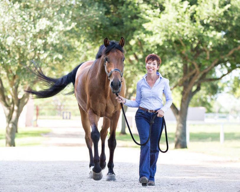 Equestrian Services